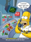 Simpsons emergency seconds count