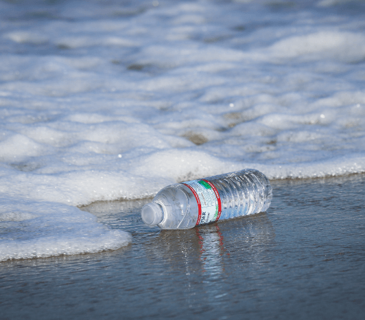Water bottle littered by the sea