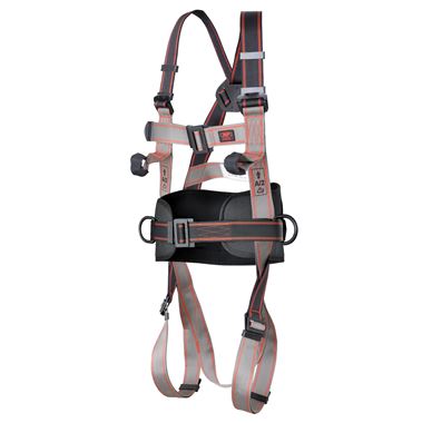 Pioneer 3-Point Harness - 3-Points of Attachment
