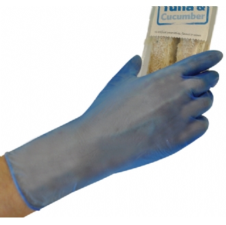 Polyco GL843 Blue Vinyl Powder Free Disposable Glove AQL4 Box100
