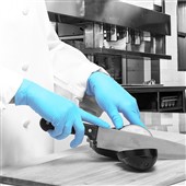 Polyco Bodyguards GL895 Blue Nitrile Powder Free Disposable Glove AQL4 (Box 100)