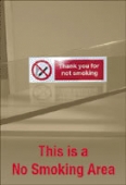 this is a no smoking area 