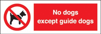 no dogs except guide dogs window sticker 