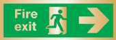 fire exit arrow right (Brushed Aluminium)