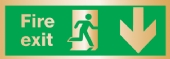 fire exit arrow down (Brushed Aluminium)