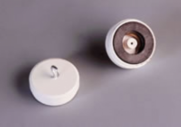 ceiling magnets (a pair)