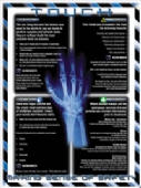 sense posters - hands 